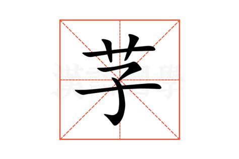 芓名字意思